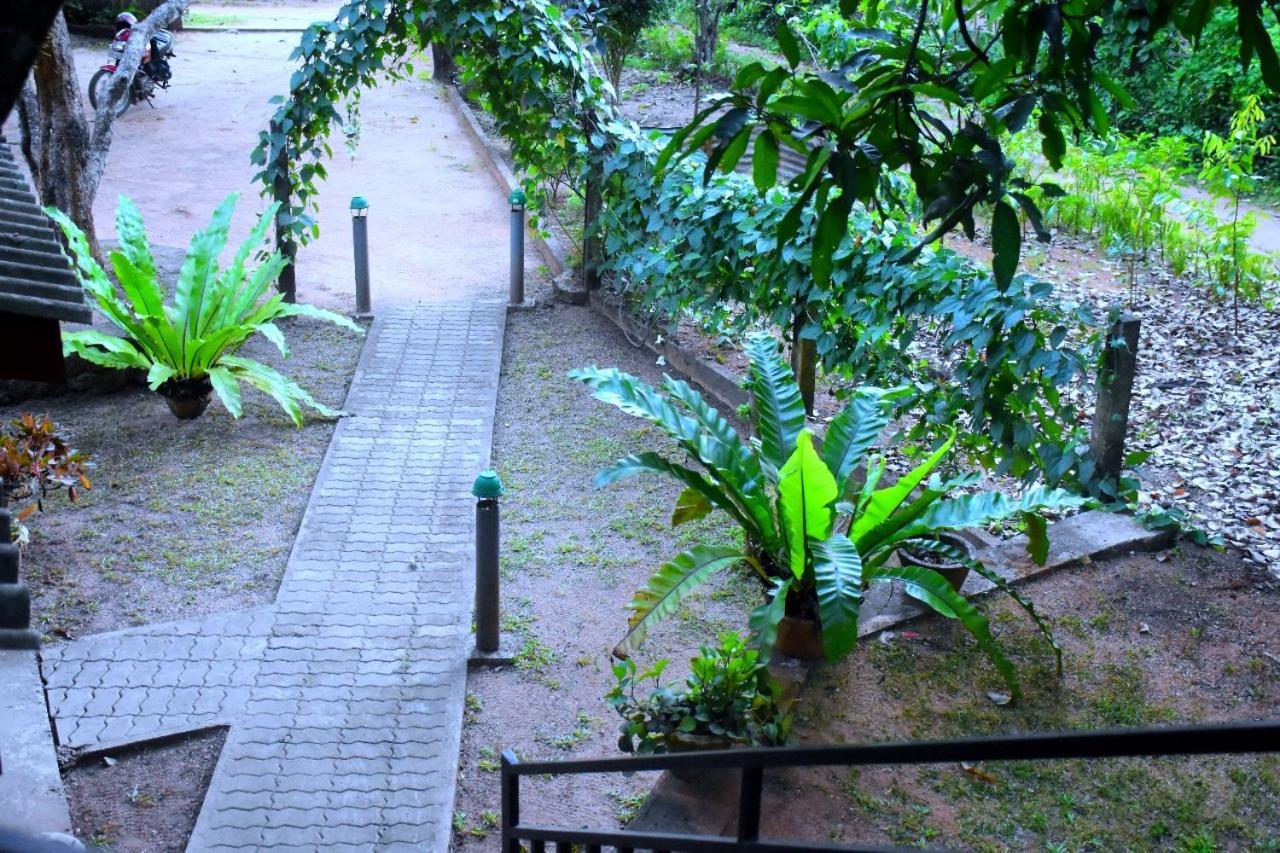 Wild Heaven Udawalawe Hotel ภายนอก รูปภาพ