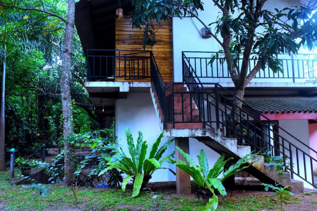 Wild Heaven Udawalawe Hotel ภายนอก รูปภาพ