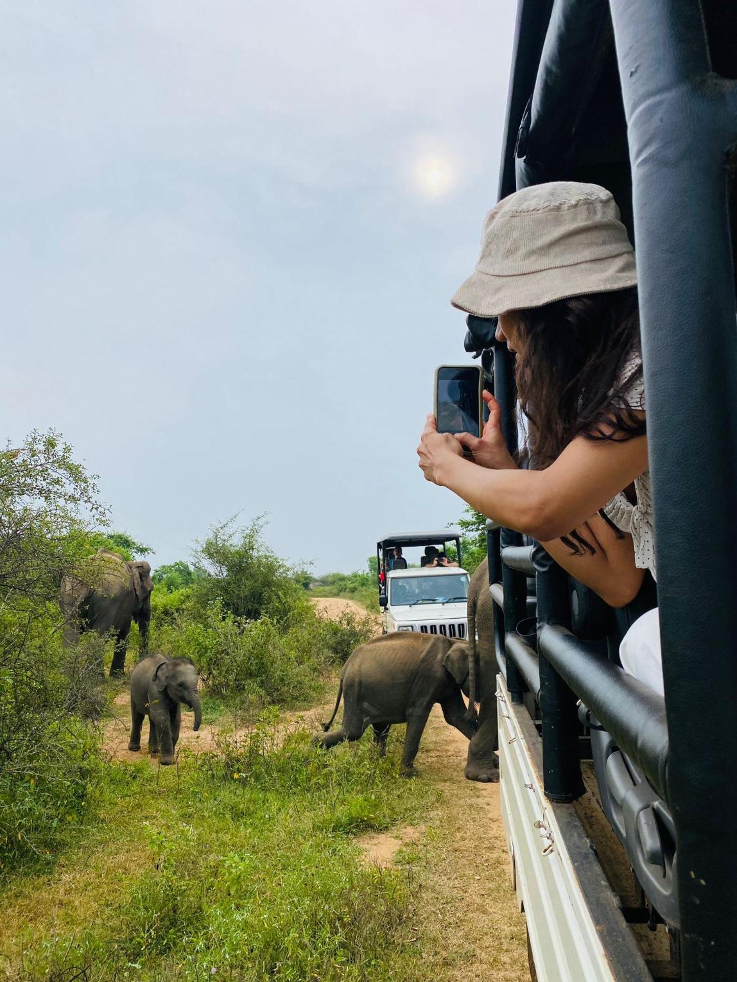 Wild Heaven Udawalawe Hotel ภายนอก รูปภาพ