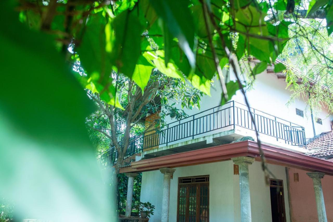 Wild Heaven Udawalawe Hotel ภายนอก รูปภาพ