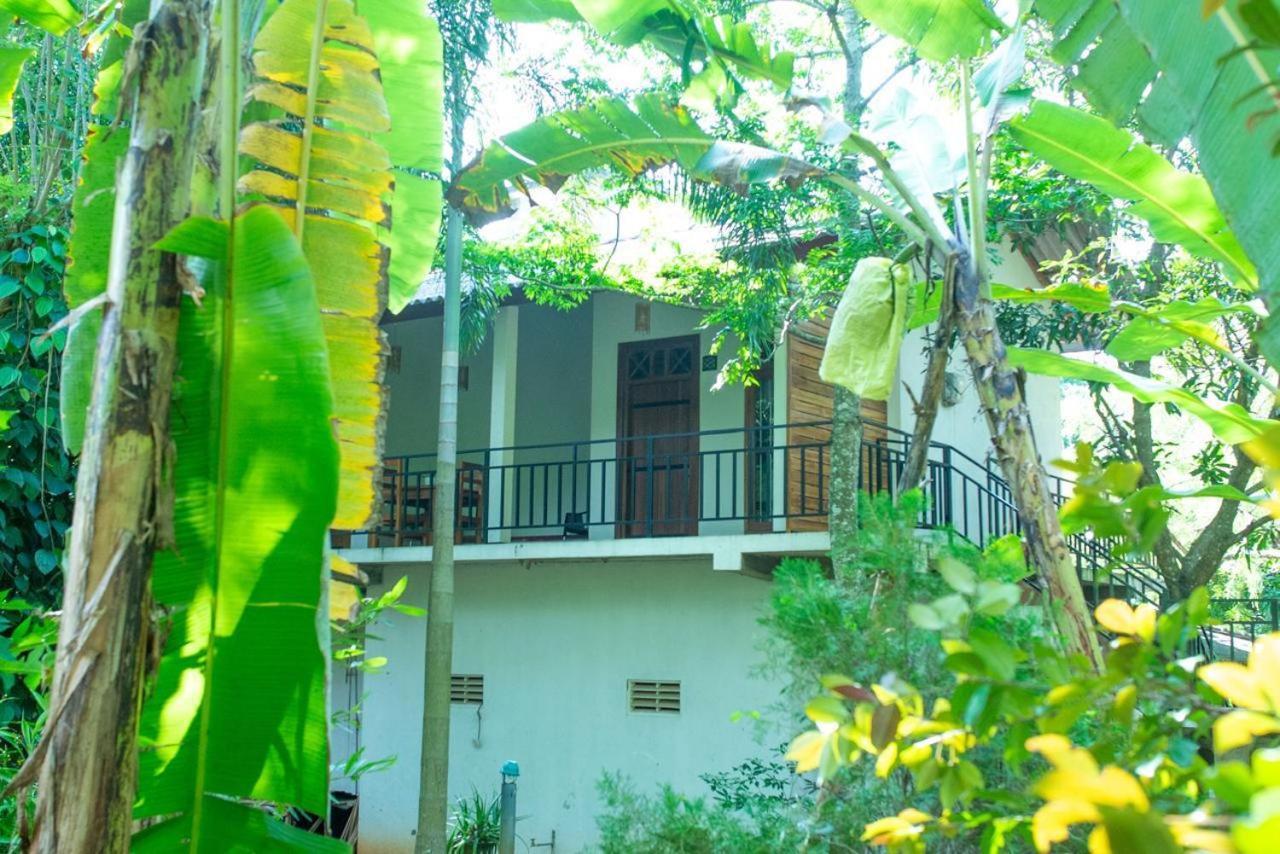 Wild Heaven Udawalawe Hotel ภายนอก รูปภาพ