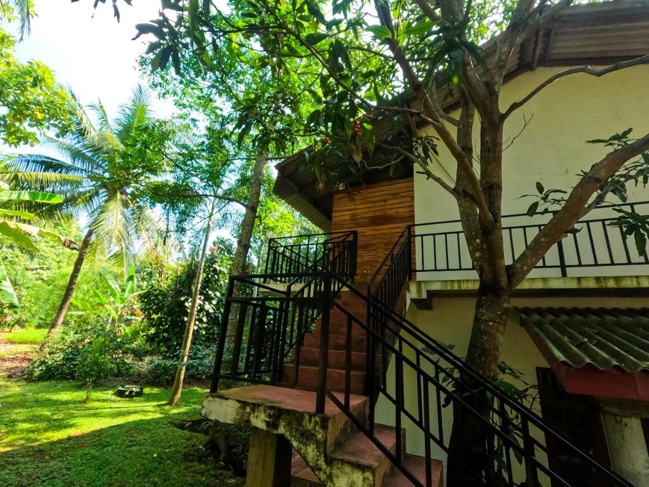 Wild Heaven Udawalawe Hotel ภายนอก รูปภาพ