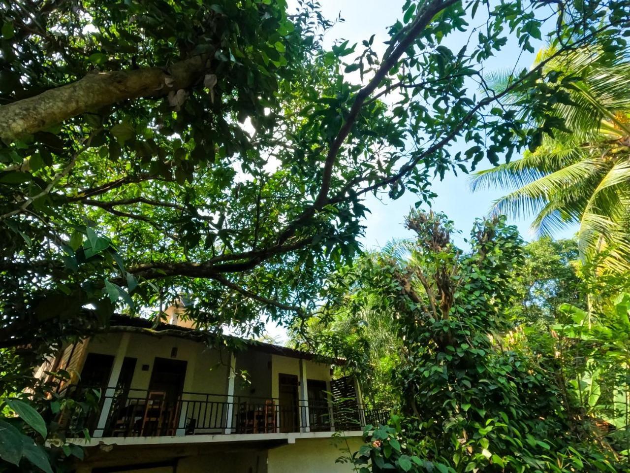 Wild Heaven Udawalawe Hotel ภายนอก รูปภาพ
