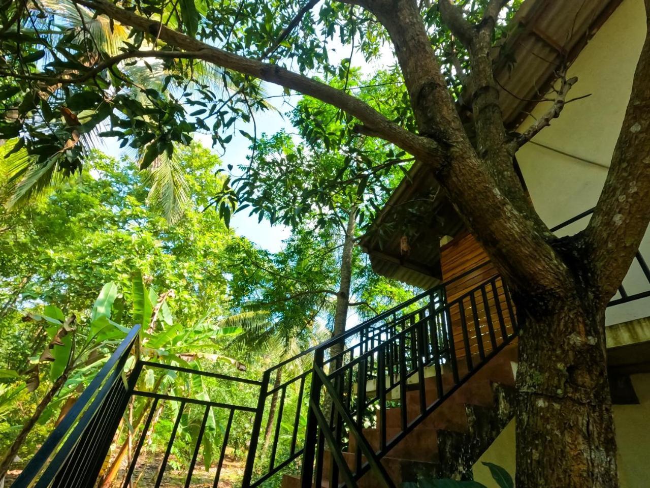 Wild Heaven Udawalawe Hotel ภายนอก รูปภาพ