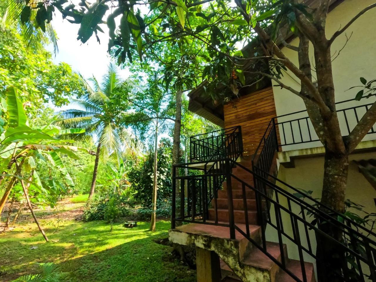Wild Heaven Udawalawe Hotel ภายนอก รูปภาพ